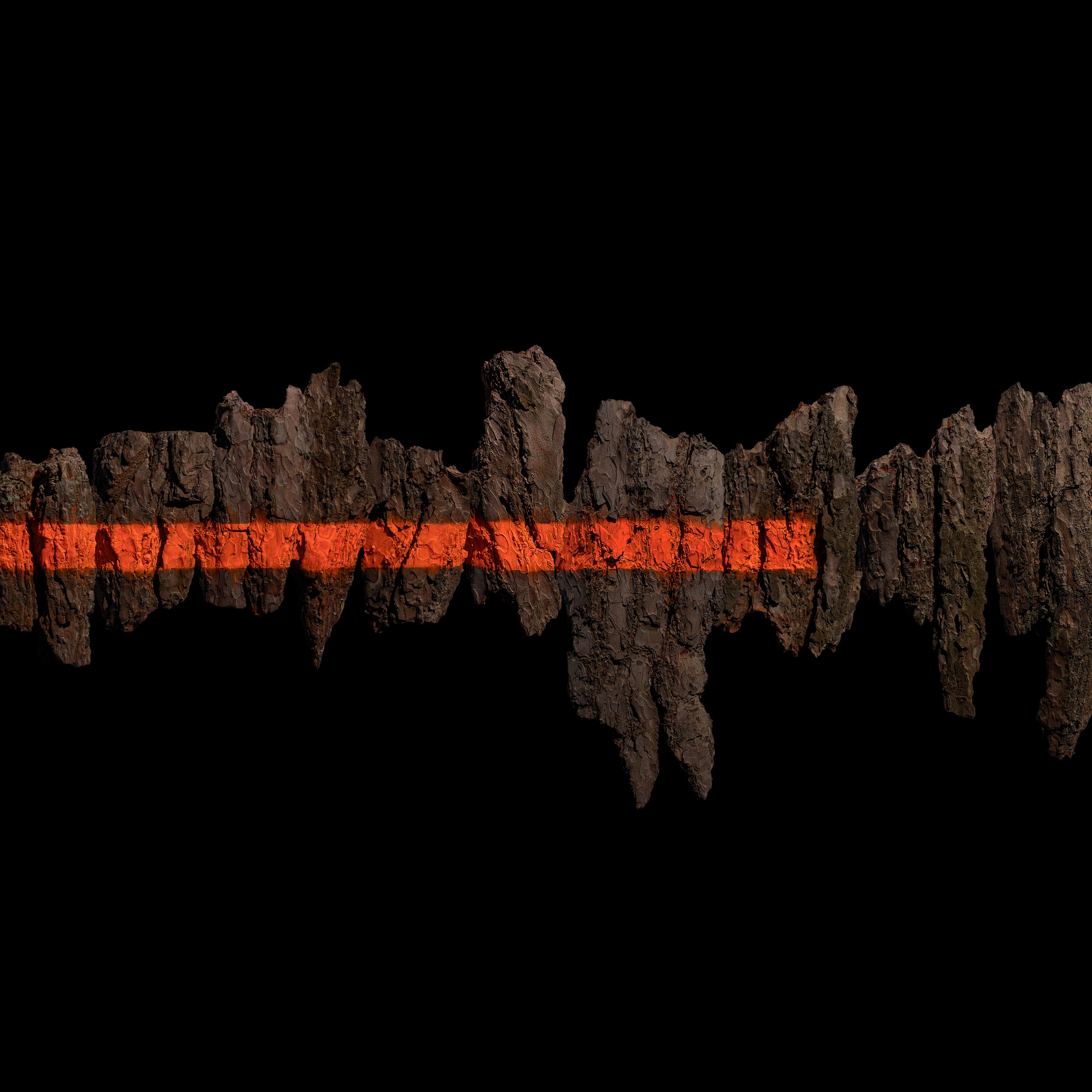 A jagged, earthy silhouette of pine bark with a glowing orange-red horizontal stripe running through the middle, set against a black background.